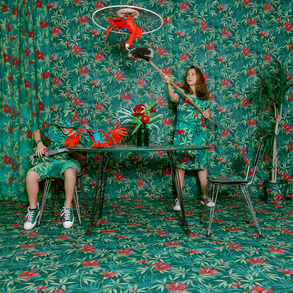 lesoiseaux5.jpg